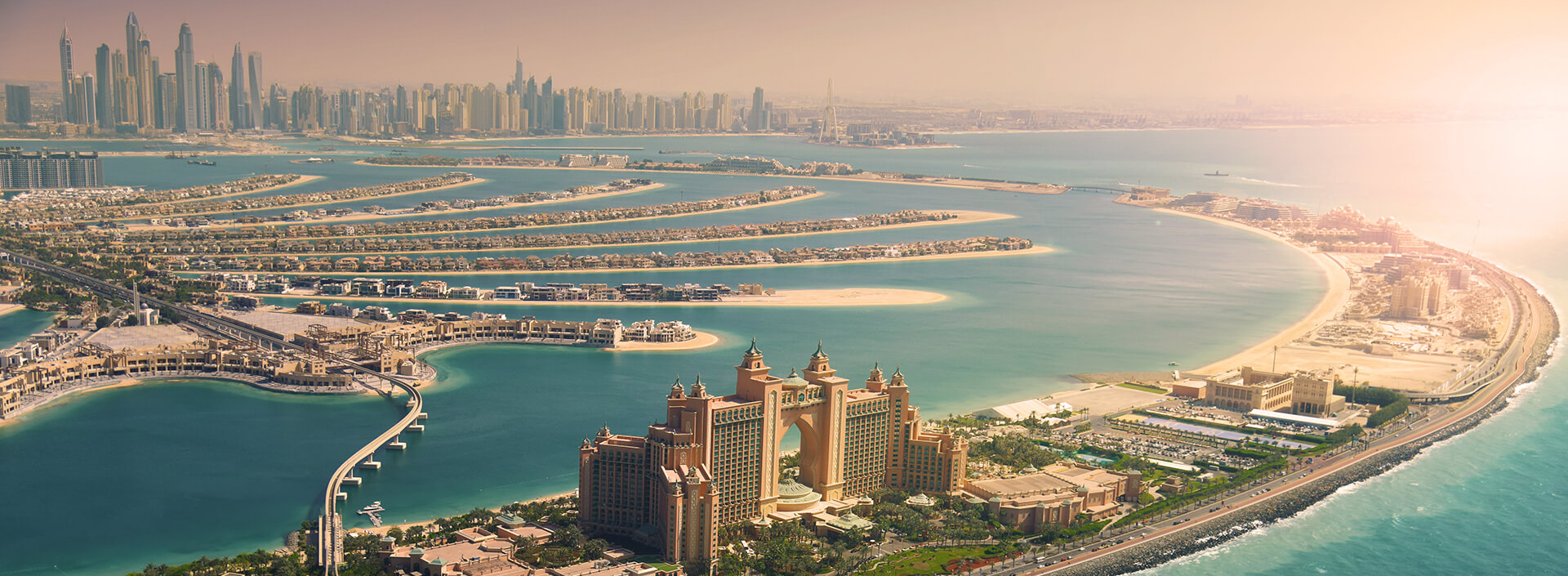 مساعد استثمار